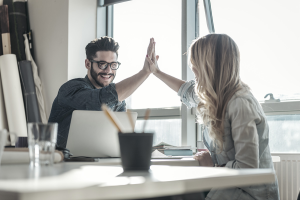 ecovium Customs Group Logos